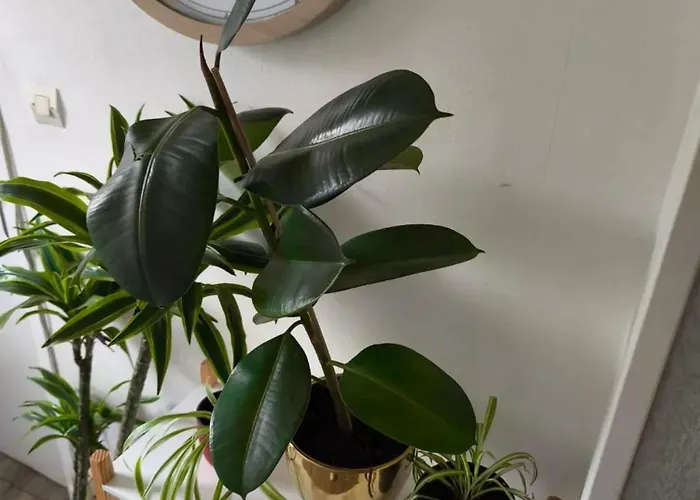 Appartement Confortable A Eppeville De 70 M² Apartman Eppeville